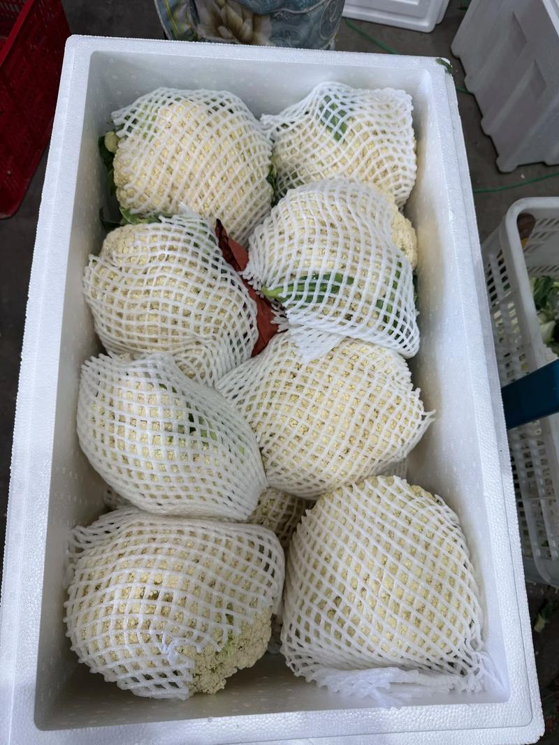 阳泉批发市场